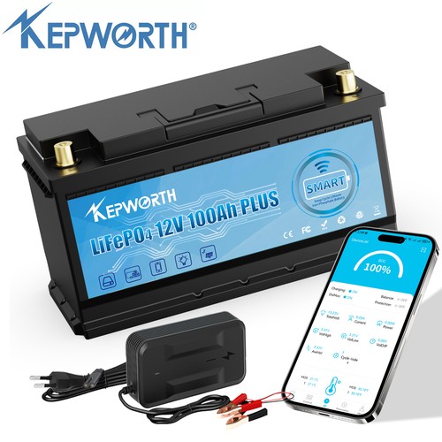 12v 100ah lifepo4 lithium - 12v,